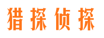 清城市调查公司